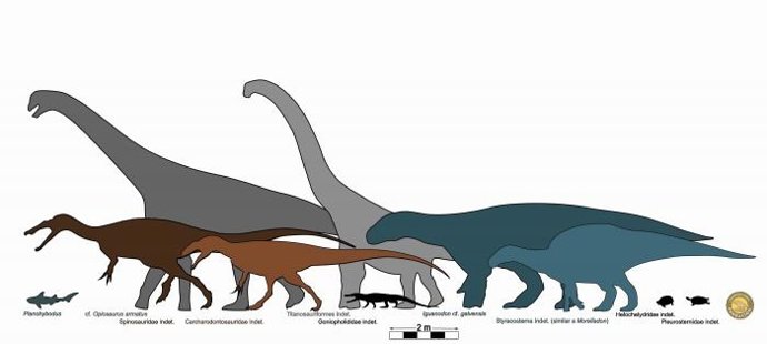 Diversidad de vertebrados en la Formación El Castellar de varios municipios de la provincia de Teruel analizados en este trabajo.