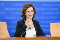 Por Andalucía ve que las ayudas de la Junta por temporal son "de espaldas" al Gobierno con Moreno "en clave electoral"