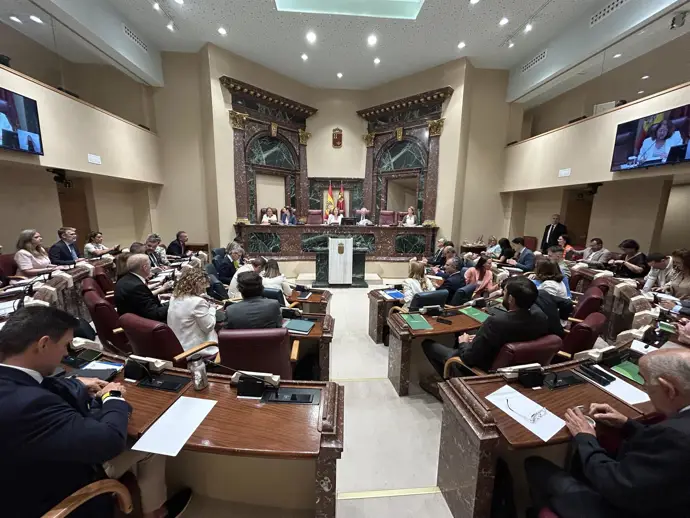 Archivo - Pleno de la Asamblea