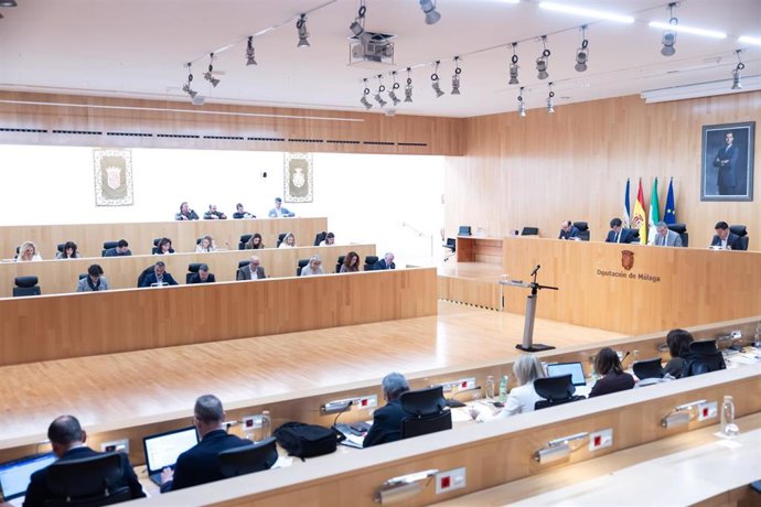 Sesión plenaria en la Diputación de Málaga.