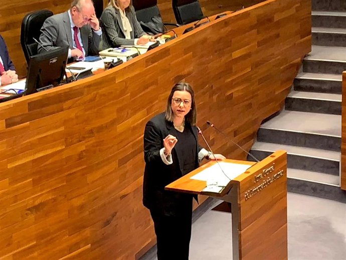 La diputada del PSOE Alba Álvarez, en la Junta General.