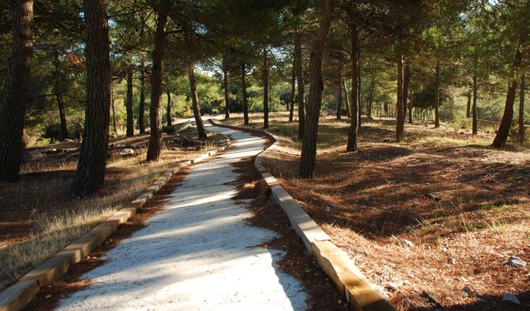 Es Andalucía - Sevilla