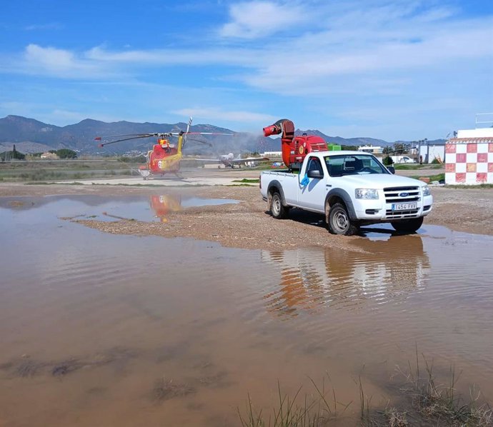 Castelló reforça les actuacions preventives frenta a la proliferació de mosquits després de les últimes pluges