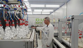 Archivo - Imagen de archivo