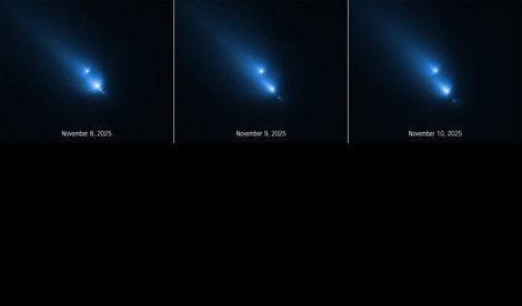 notibrasil sociedade