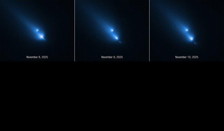 notibrasil sociedade