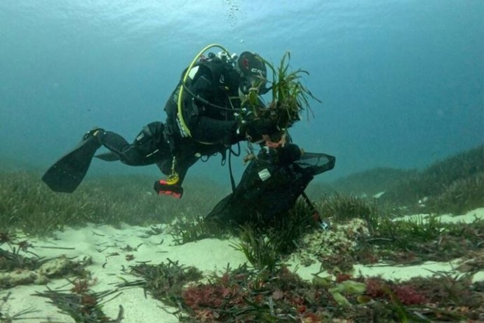 PortsIB aporta 30.000 euros al Fondo Posidonia en el marco de la reforma del puerto de Fornells