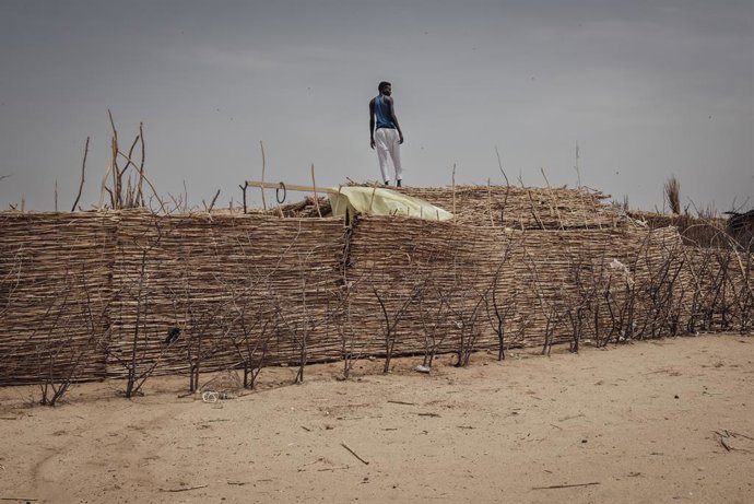 Archivo - June 21, 2024,  Adre , chad: A Sudanese refugee builds a shelter in an informal camp in the area of the town of Koufroun, along the border with Sudan. June 21, 2024.