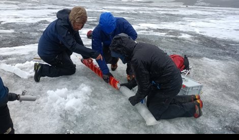 notibrasil sociedade