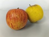 Foto: Compuestos de la manzana ayudan a regular la glucosa y dar sensación de saciedad