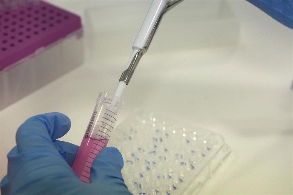 Archivo - Una científica introduce líquido en una probeta, en el laboratorio del Parque Tecnológico de Zamudio de Bilbao, a 23 de mayo de 2022, en Zamudio, Vizcaya, País Vasco (España). La empresa biofarmaceútica vasca Oncomatryx ha conseguido la autori