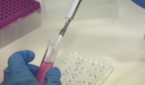 notibrasil sociedade