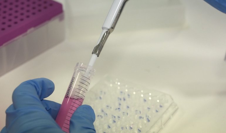 notibrasil sociedade