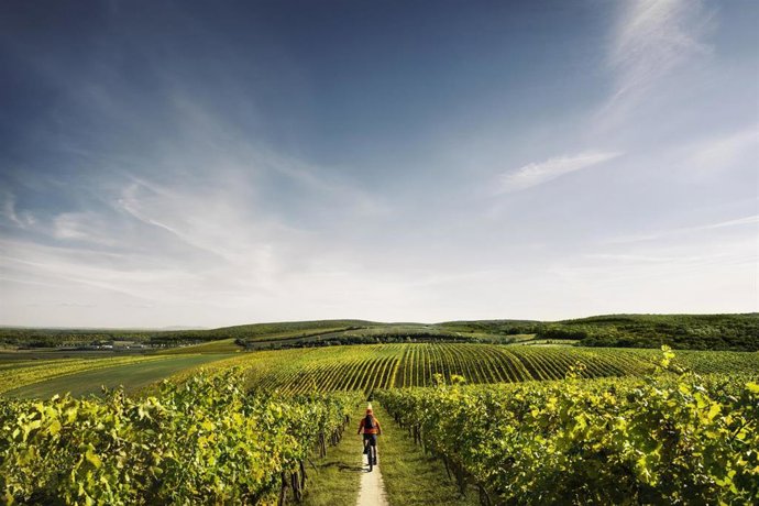 Ciclismo en el sur de Moldavia en Chequia