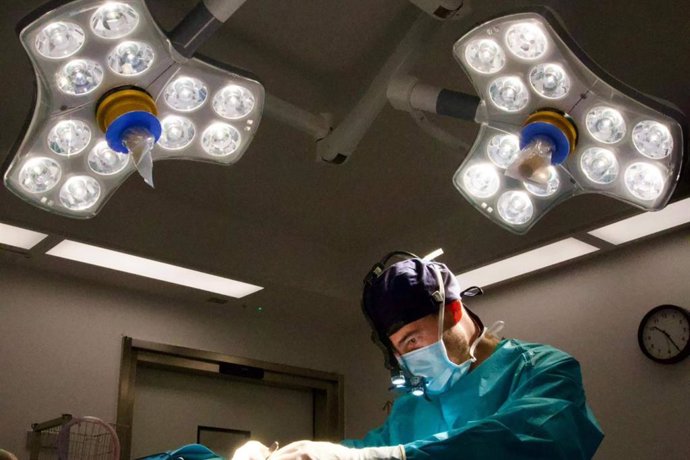 El diseño de nariz personalizado, la propuesta del Dr. Alfonso Campos para una armonía facial única