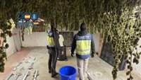 Diez detenidos en Jerez tras desarticular un grupo especializado en la producción de grandes cantidades de marihuana