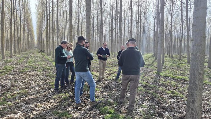 Imagen de una de las actividades de la jornada técnica impulsada por la ULE sobre la gestión, conservación y mejora genética del chopo.