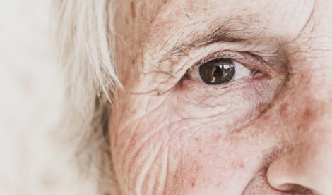 notibrasil sociedade