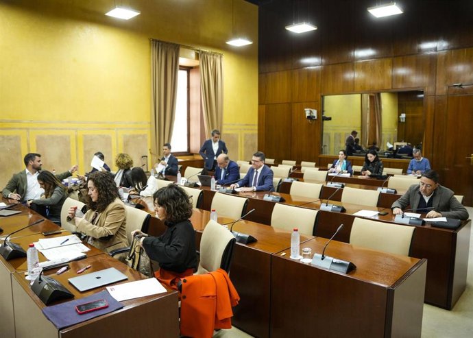 Diputados en la comisión de Sanidad, Presidencia y Emergencias del Parlamento andaluz.