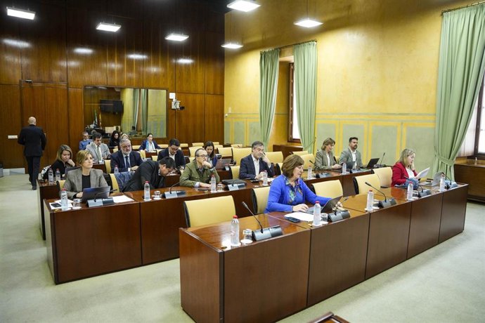 Imagen de este jueves de la celebración de la Comisión de Economía y Hacienda del Parlamento.
