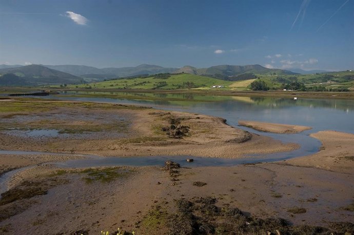 Estuario de San Vicente
