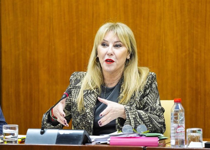 La consejera de Economía y portavoz del Gobierno, Carolina España, este jueves durante su comparecencia en comisión.