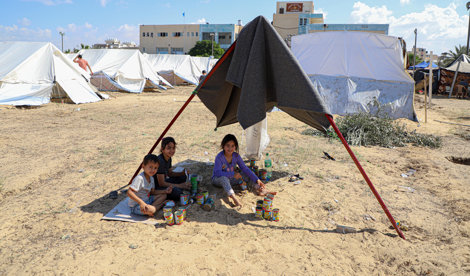 notibrasil sociedade