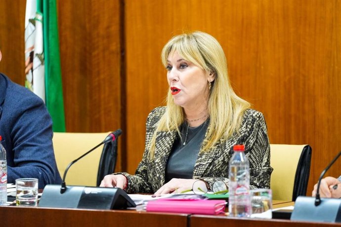 La consejera de Economía, Hacienda, Fondos Europeos y Diálogo Social de la Junta de Andalucía, Carolina España, este jueves durante su comparecencia parlamentaria en comisión.