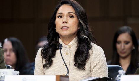 notibrasil política