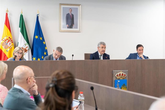 Pleno del Ayuntamiento de Estepona