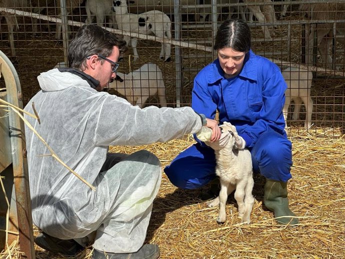 Una formación de las Escuelas Agrarias de la Generalitat