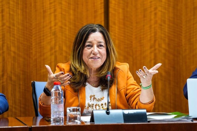 La consejera de Desarrollo Educativo y FP de la Junta de Andalucía, María del Carmen Castillo, este jueves durante su comparecencia parlamentaria en comisión.