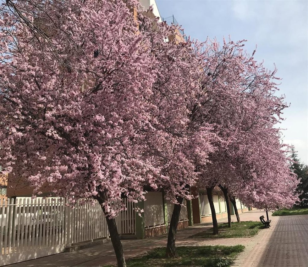Archivo - Aragón prevé una primavera más calurosa de lo habitual.