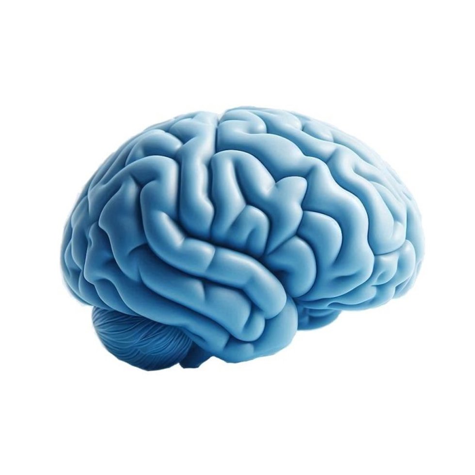 Cerebro