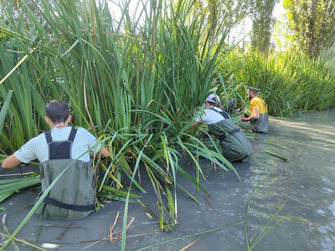Una de las acciones en el río Gaià