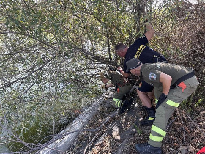 Bomberos de la Comunidad de Madrid y Agentes Forestales durante una intervención de rescate de fauna en la Comunidad de Madrid