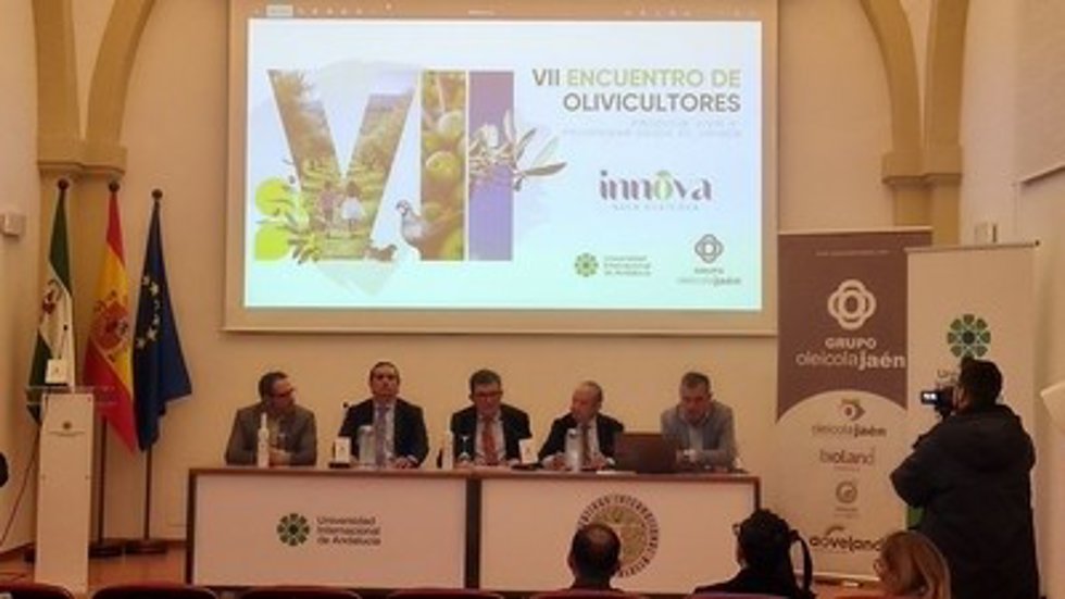 Celebración del VII Encuentro de Olivicultores.
