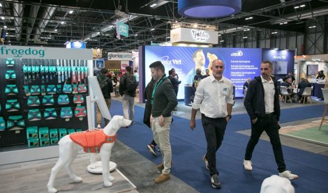 Ifema Madrid