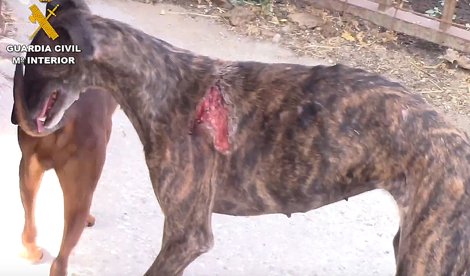 notibrasil política