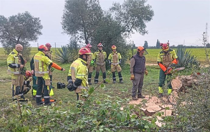 Formación de bomberos de la provincia de Sevilla.