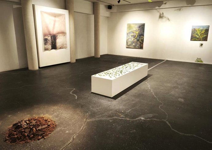 La artista Sofía Moreno reflexiona en 'Creciendo entre grietas' sobre espacios olvidados y su recuperación a la vida