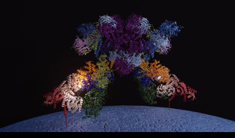 notibrasil sociedade