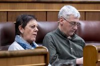 Bildu critica la rebaja generalizada de impuestos porque sólo aumentará los beneficios de petroleras y energéticas