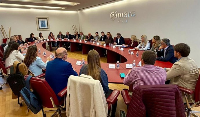 El Consejo Provincial de Turismo analiza las acciones de 2025 y traza las actuaciones para 2026