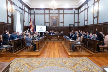 Pleno en la Diputación de Guadalajara.