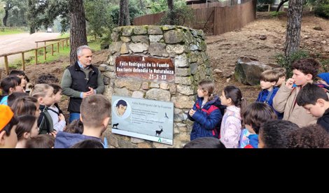 Es Andalucía - Córdoba