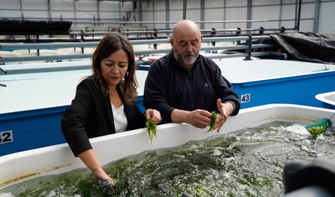 Pesca Galicia