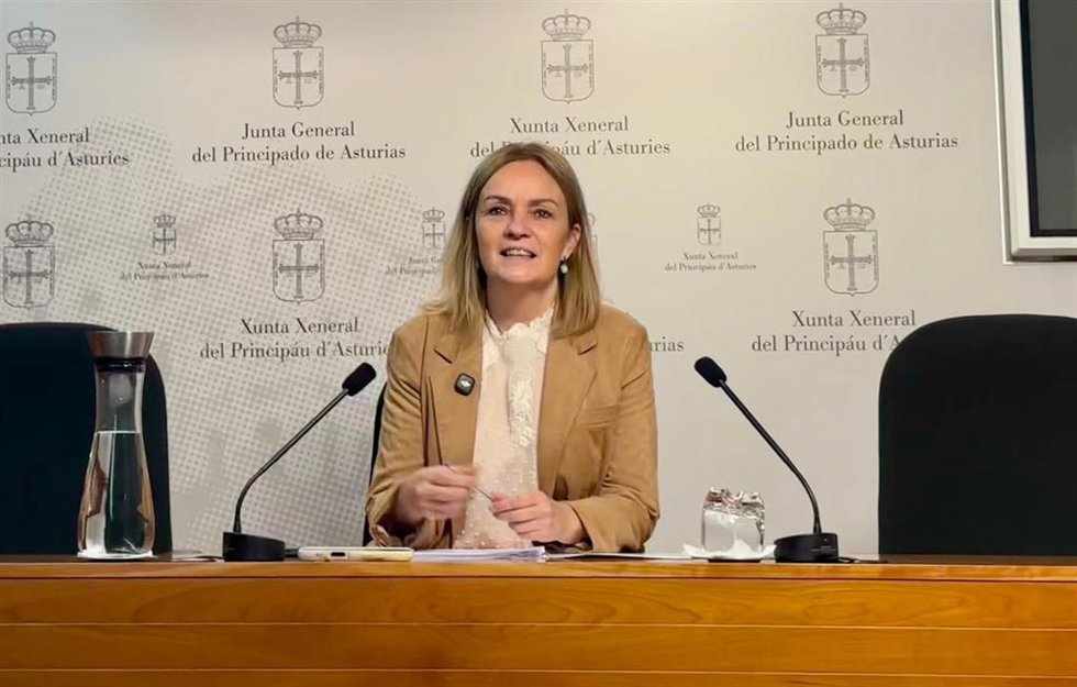 Archivo - Rueda de prensa de la diputada del Grupo Mixto, Covadonga Tomé, en relación con la Ley Tributaria de Asturias.