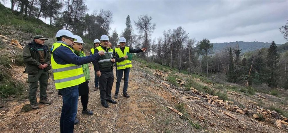 El consejero de Medio Ambiente, Universidades, Investigación y Mar Menor, Juan María Vázquez, visitó a primeros de mes las actuaciones de prevención de incendios y de lucha contra el decaimiento forestal en el Puerto de la Cadena.