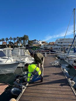 El director general de Litoral y Puertos, Pablo Marín, durante la revisión de los desperfectos provocados por el temporal en el puerto de Cabo de Palos, el pasado mes de febrero.